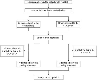 The spleen-strengthening and liver-draining herbal formula treatment of non-alcoholic fatty liver disease by regulation of intestinal flora in clinical trial